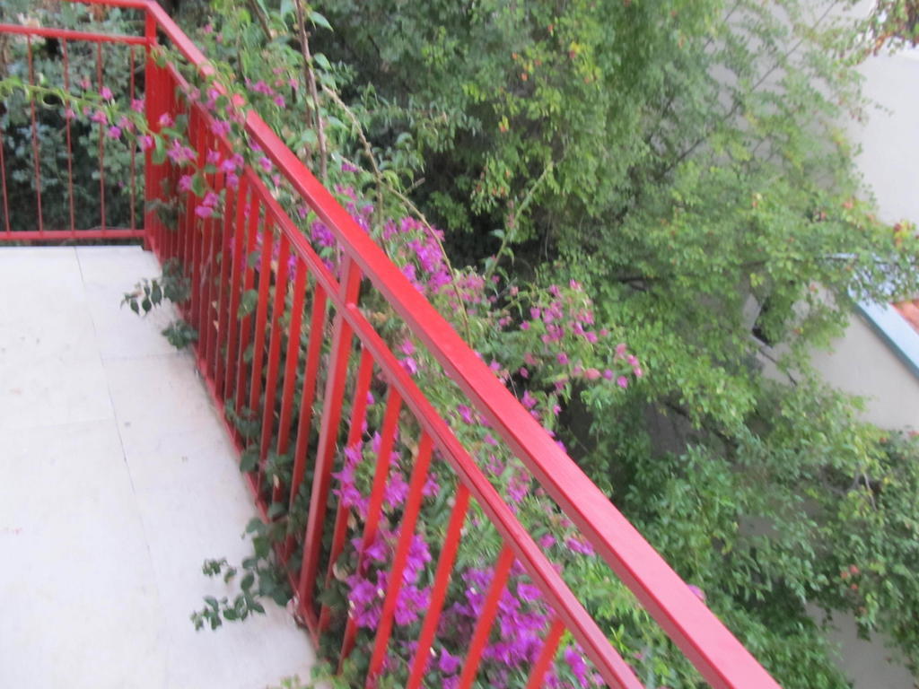 Apartments Almaja Villa Petrovac المظهر الخارجي الصورة